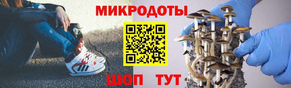Миасс  как найти закладки  Вход с VPN  Псилоцибиновые грибы Cubensis 